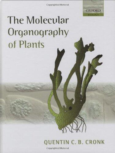 The Molecular Organography of Plants