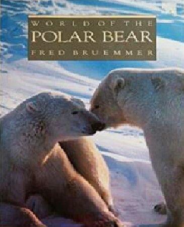 World of the Polar Bear