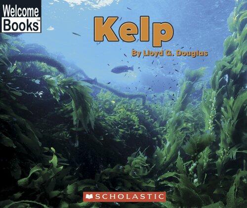 Kelp