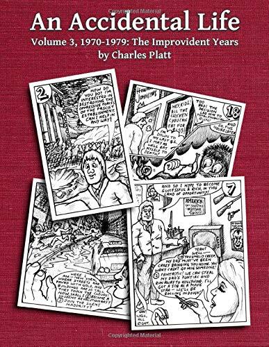 An Accidental Life: Volume 3 (1970-1979): The Improvident Years