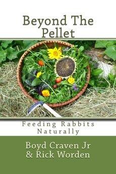The Urban Rabbit Project
