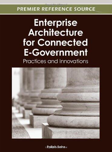 Enterprise Architecture for Connected E-Government: Practices and Innovations (1st edition)