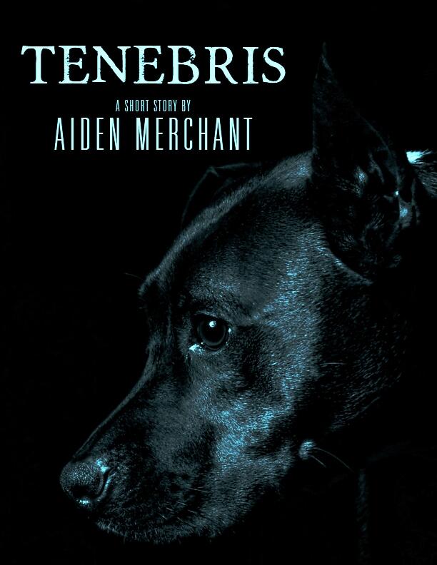 Tenebris: A Short Story