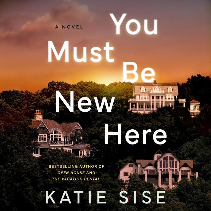 You Must Be New Here: A Novel