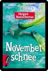 Novemberschnee