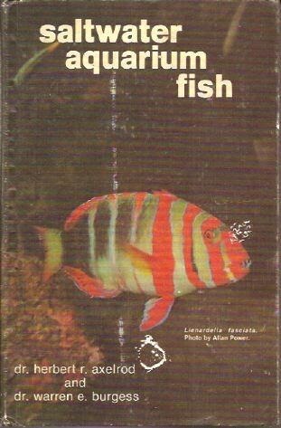 Saltwater Aquarium Fish