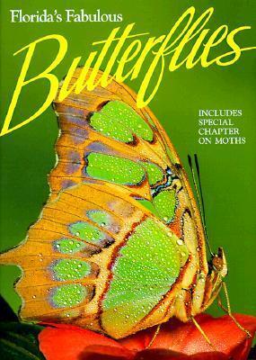 Florida's Fabulous Butterflies