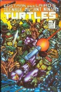 Teenage Mutant Ninja Turtles #7
