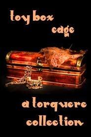 Toy Box: Cage