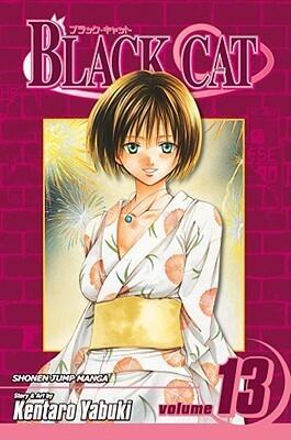 Black Cat, Volume 13