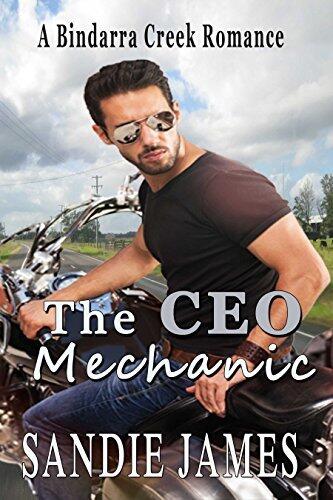 The CEO Mechanic