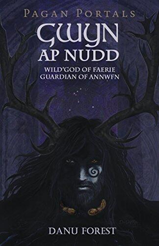 Pagan Portals (Gwyn ap Nudd): Wild God of Faery, Guardian of Annwfn