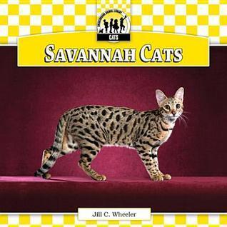 Savannah Cats
