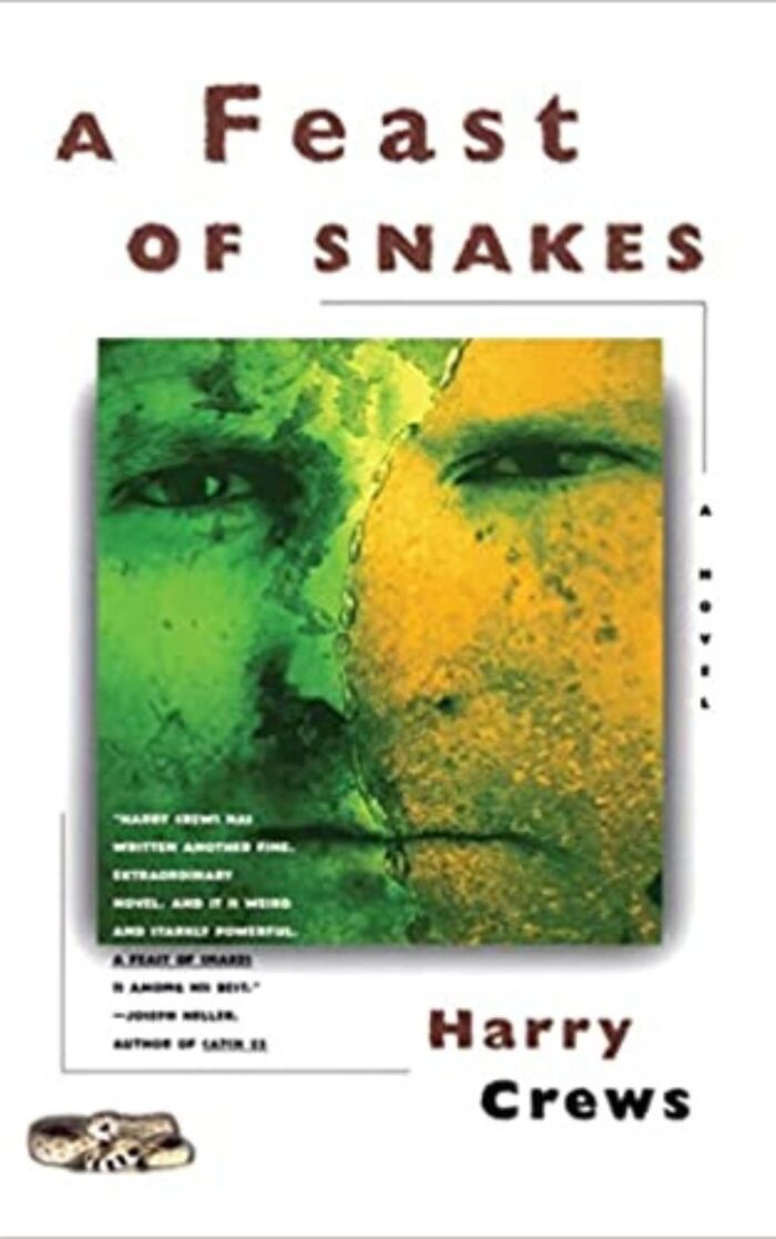 A Feast of Snakes: A Novel