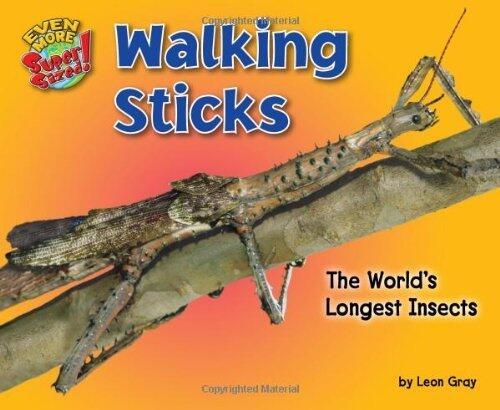 Walking Sticks: The World?s Longest Insects (Even More Supersized!) by Leon Gray