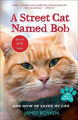 A Street Cat Named Bob: And How He Saved My Life