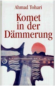 Komet in der Dämmerung