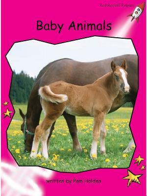 Baby Animals