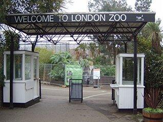 A Visit to London Zoo