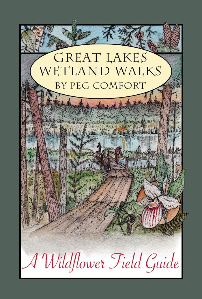 Great Lakes Wetland Walks: A Wildflower Field Guide