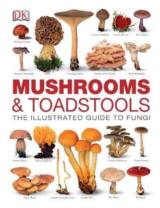 Mushrooms & Toadstools: The Illustrated Guide for Fungi