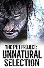 The Pet Project