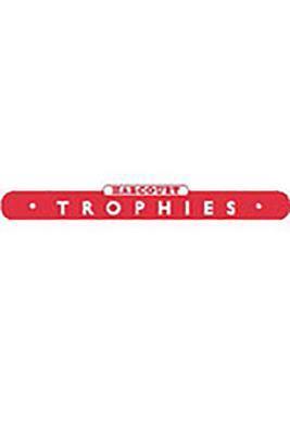 Trophies: Reading and Language Skills Assessment 12-pack Grade 3-2