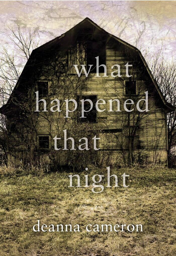 What Happened That Night