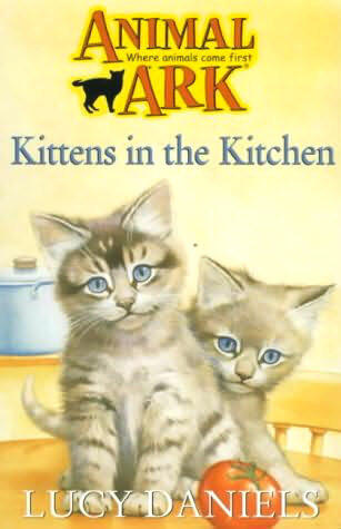 Kittens in the Kitchen