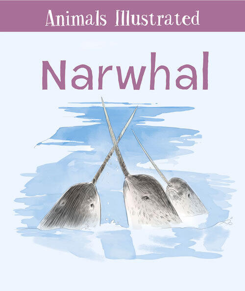 Animals Illustrated: Narwhal
