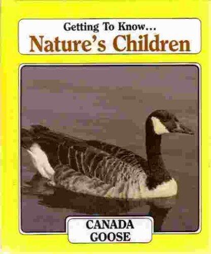 Canada Goose
