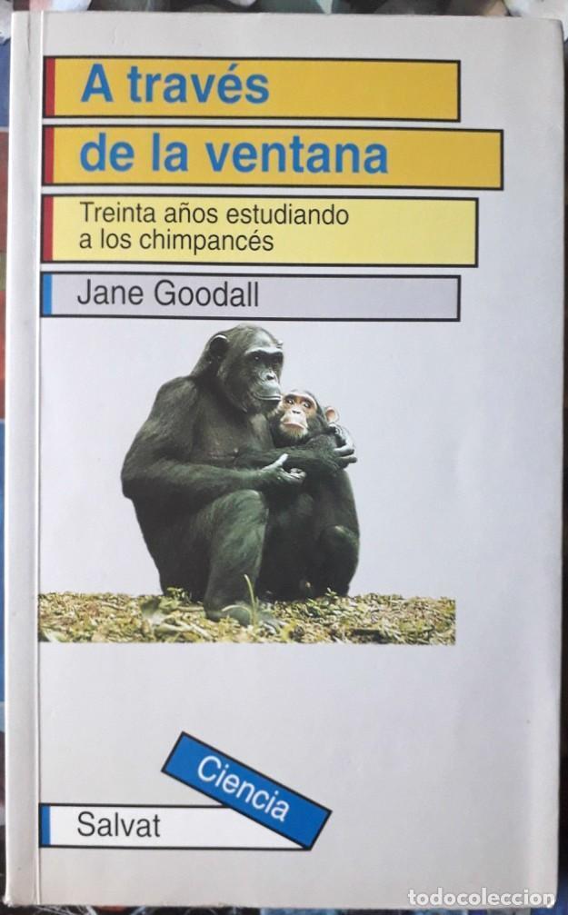 A través de la ventana: Treinta años estudiando a los chimpancés