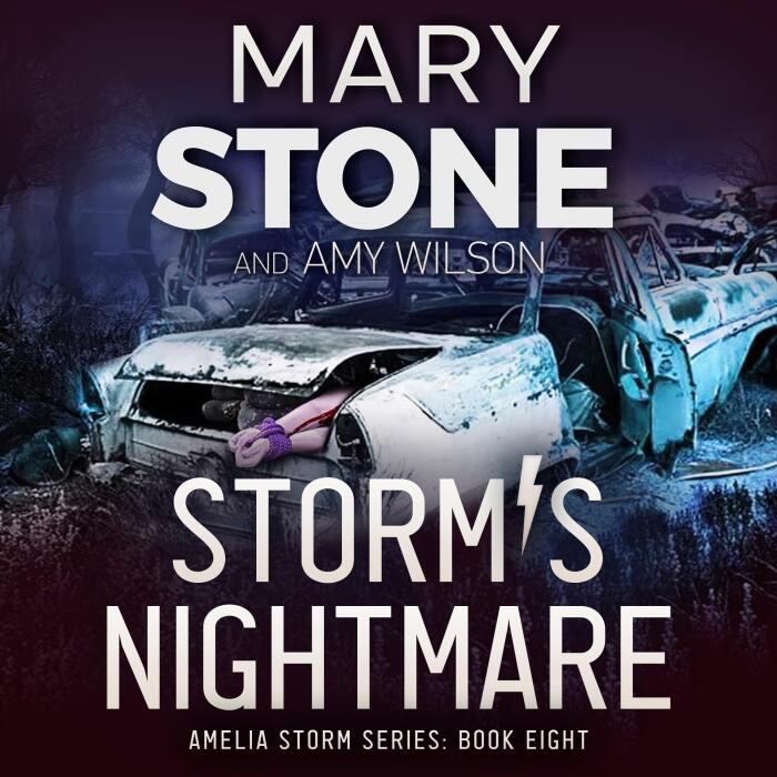 Storm's Nightmare: Amelia Storm FBI Mystery Series, Book 8