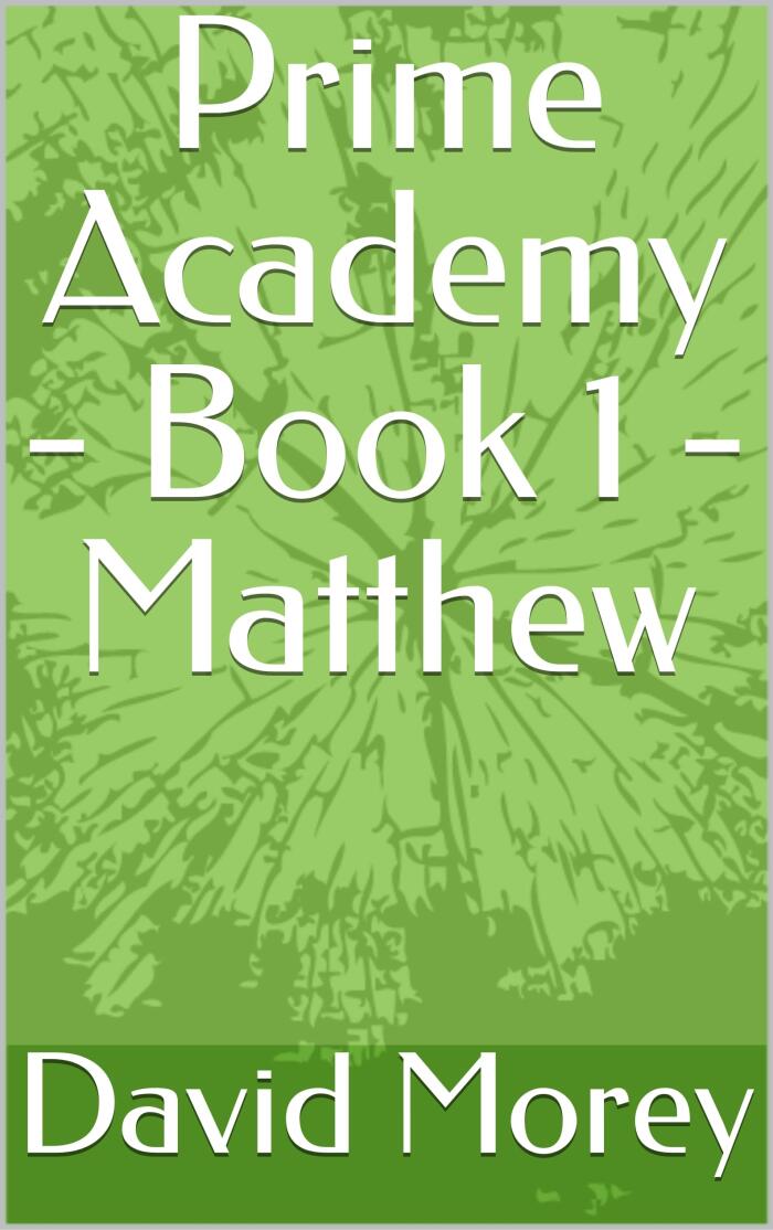 Prime Academy - Book 1 - Matthew
