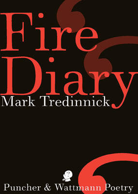 Fire Diary