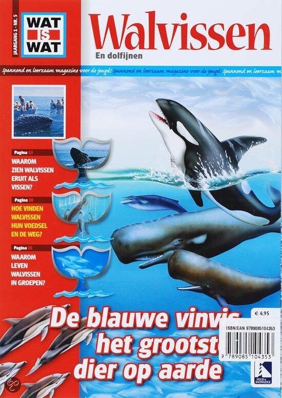 walvissen en dolfijnen