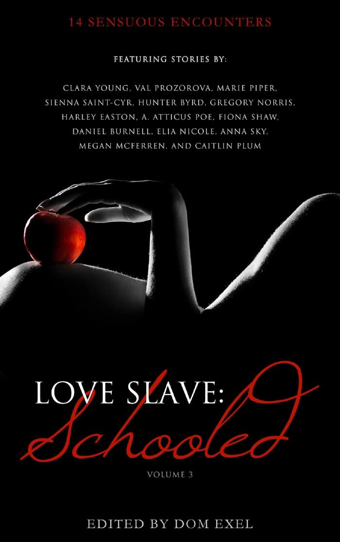 Love Slave: Schooled