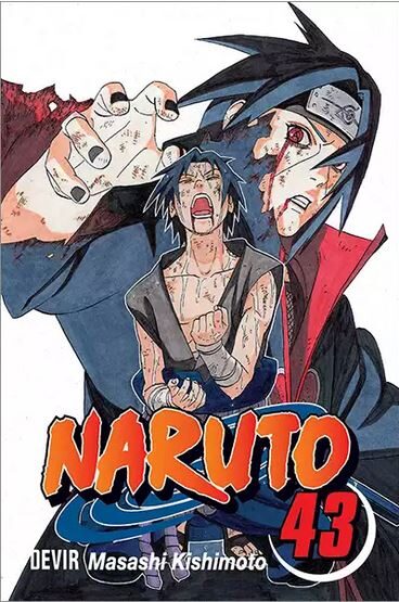 Naruto, Vol. 43: O Portador da Verdade