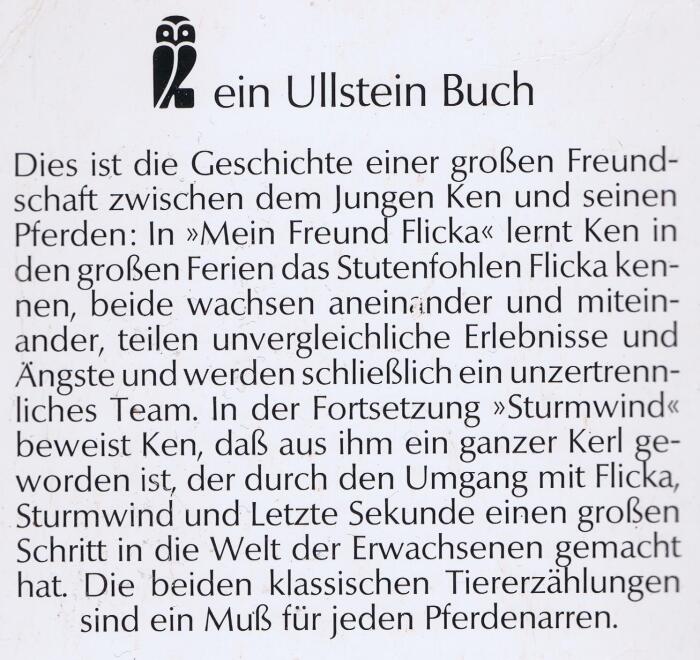 Mein Freund Flicka / Sturmwind, Flickas Sohn