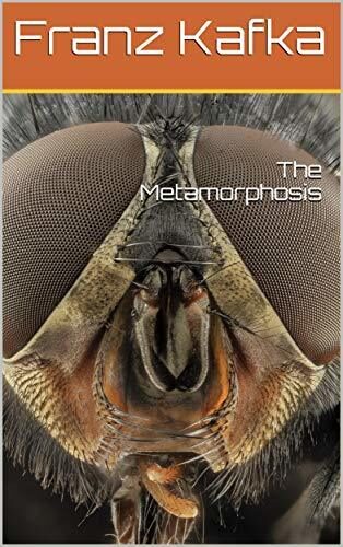 Metamorphosis