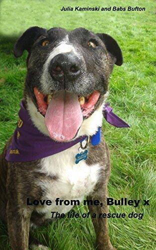 Love from me, Bulley x: The life of a rescue dog