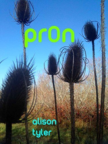 pr0n: a comic science fiction erotic novella