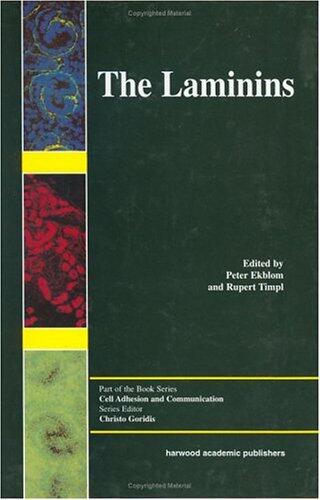 The Laminins