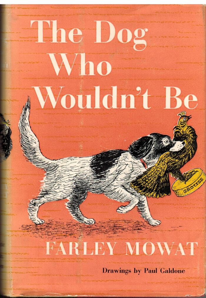 The Dog Who Wouldn't Be