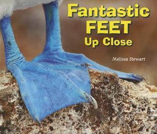 Fantastic Feet Up Close