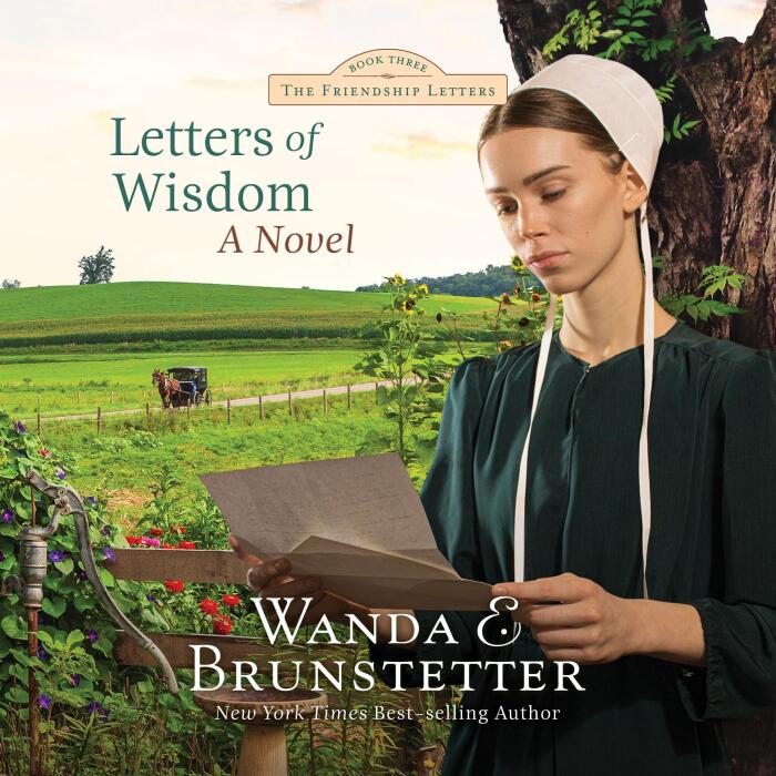 Letters of Wisdom: Friendship Letters, Book 3