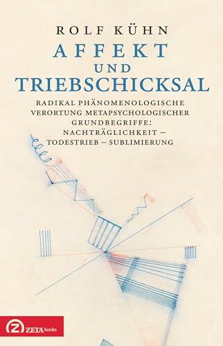 Affekt und Triebschicksal: Radikal Phänomenologische Verortung Metapsychologischer Grundbegriffe Nachträglichkeit - Todestrieb - Sublimierung