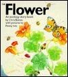 The Flower: An Ecology Story Book