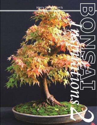 Harry Harrington's Bonsai Inspirations 2