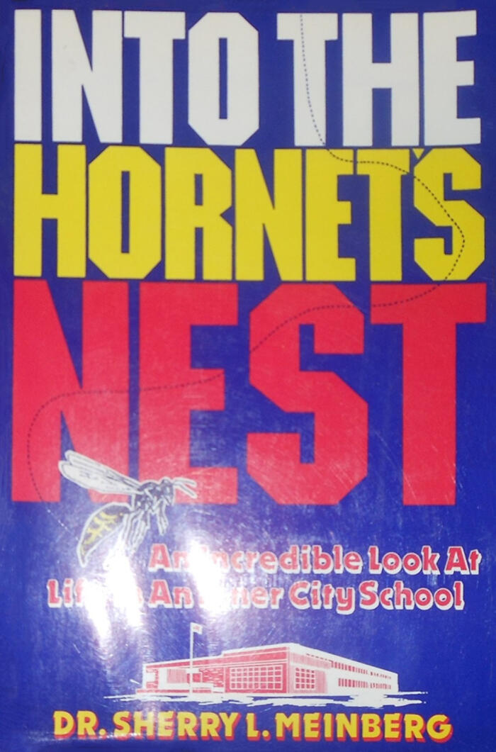 Into the Hornet's Nest: An Incredible Look at Life in an Inner City School